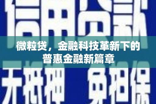 盐田微粒贷，金融科技革新下的普惠金融新篇章