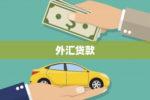 盐田外汇贷款