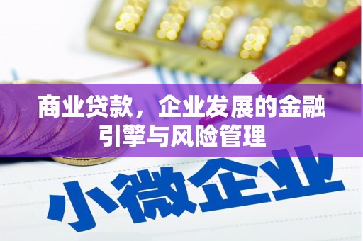 盐田商业贷款，企业发展的金融引擎与风险管理