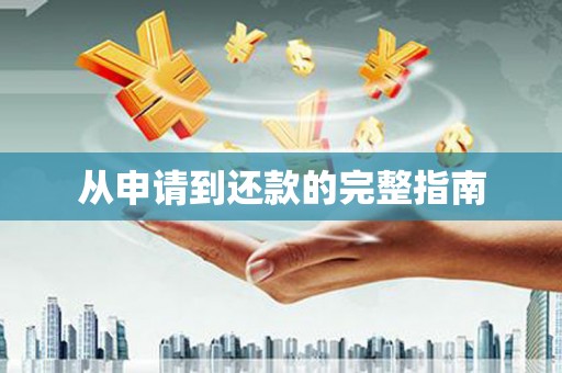 盐田从申请到还款的完整指南