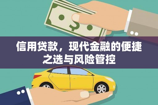 盐田信用贷款，现代金融的便捷之选与风险管控
