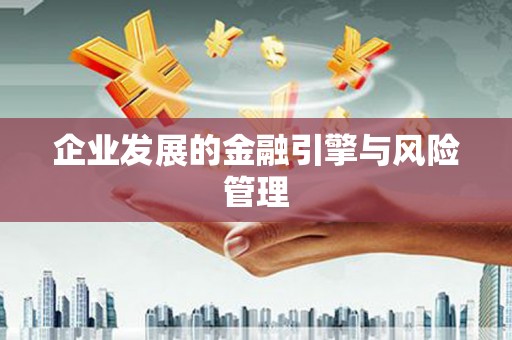 盐田企业发展的金融引擎与风险管理