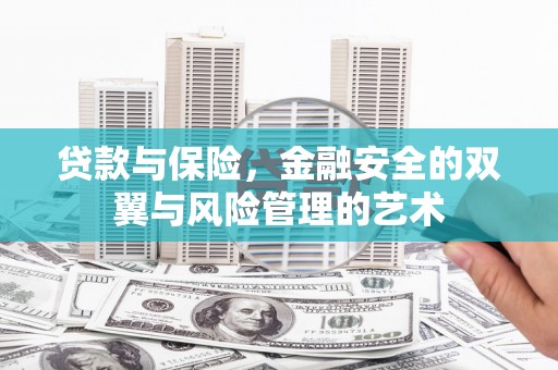 盐田贷款与保险，金融安全的双翼与风险管理的艺术