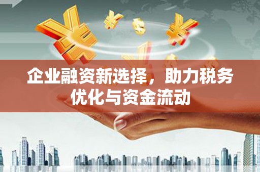 盐田企业融资新选择，助力税务优化与资金流动