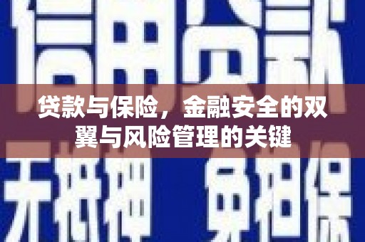 盐田贷款与保险，金融安全的双翼与风险管理的关键