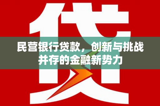 盐田民营银行贷款，创新与挑战并存的金融新势力