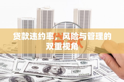 盐田贷款违约率，风险与管理的双重视角