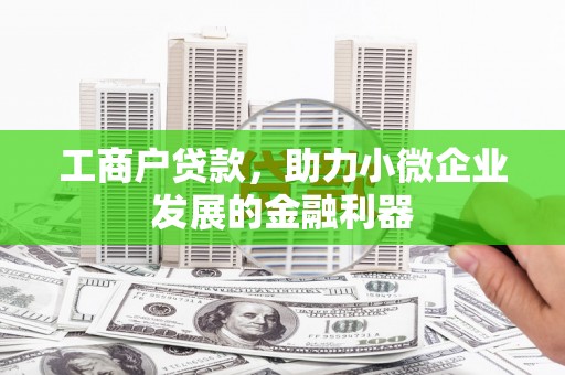 盐田工商户贷款，助力小微企业发展的金融利器