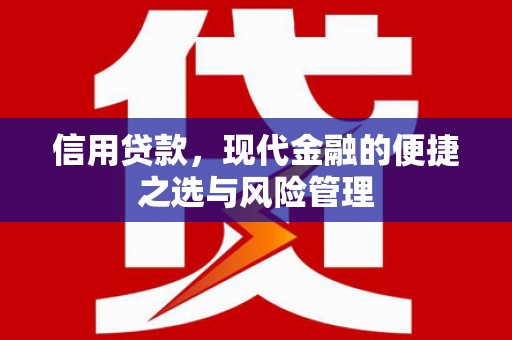 盐田信用贷款，现代金融的便捷之选与风险管理