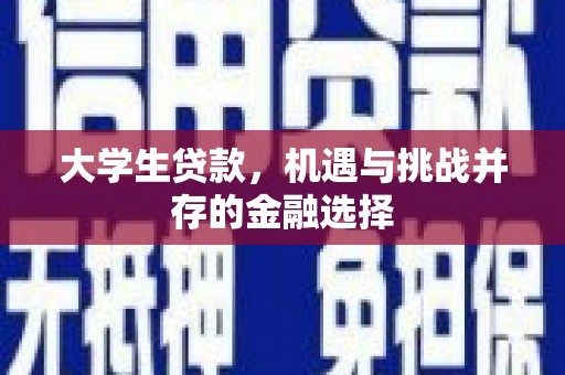 盐田大学生贷款，机遇与挑战并存的金融选择