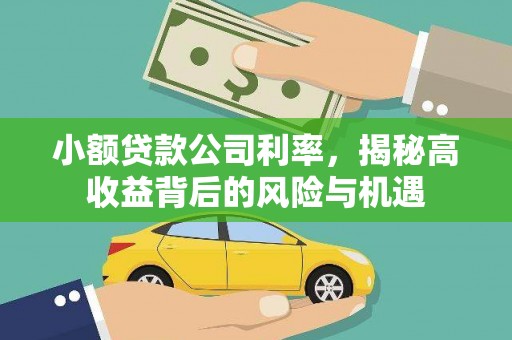 盐田小额贷款公司利率，揭秘高收益背后的风险与机遇