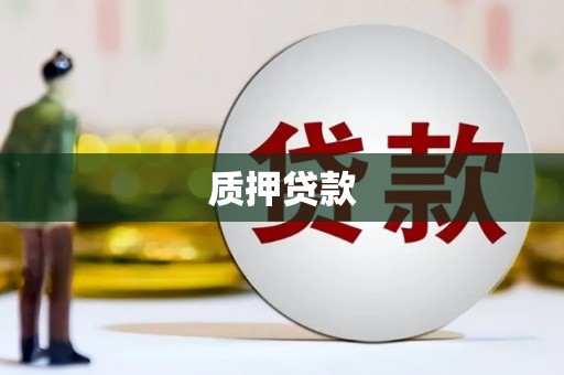 盐田质押贷款