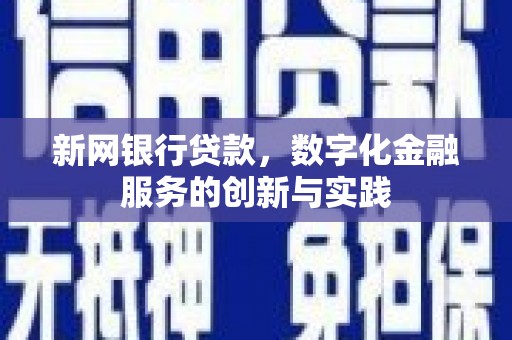 盐田新网银行贷款，数字化金融服务的创新与实践