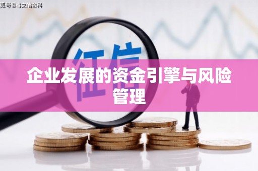 盐田企业发展的资金引擎与风险管理