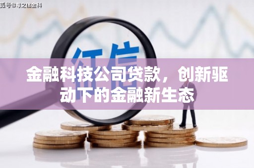盐田金融科技公司贷款，创新驱动下的金融新生态