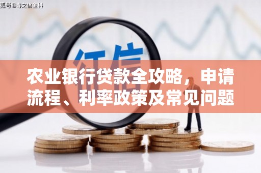 盐田农业银行贷款全攻略，申请流程、利率政策及常见问题解析