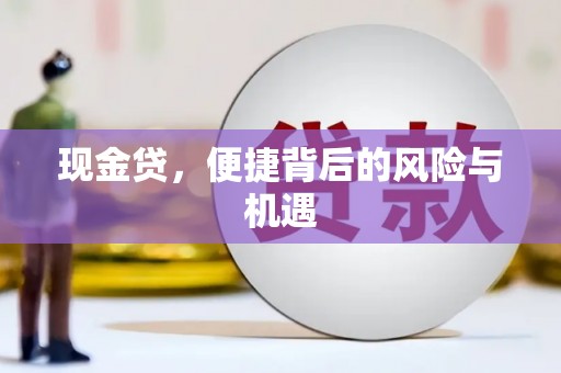 盐田现金贷，便捷背后的风险与机遇