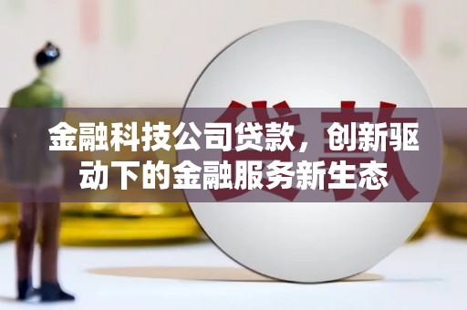 盐田金融科技公司贷款，创新驱动下的金融服务新生态