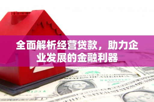盐田全面解析经营贷款，助力企业发展的金融利器