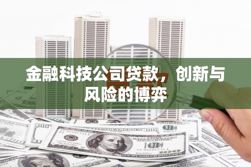 盐田金融科技公司贷款，创新与风险的博弈