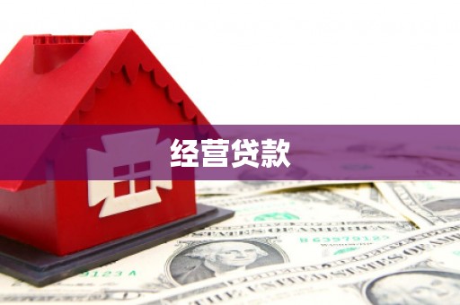 盐田经营贷款