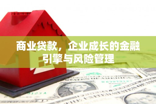 盐田商业贷款，企业成长的金融引擎与风险管理