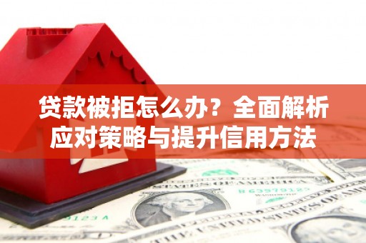 盐田贷款被拒怎么办？全面解析应对策略与提升信用方法
