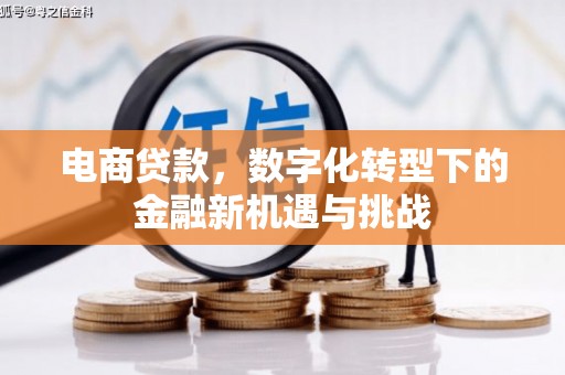 盐田电商贷款，数字化转型下的金融新机遇与挑战