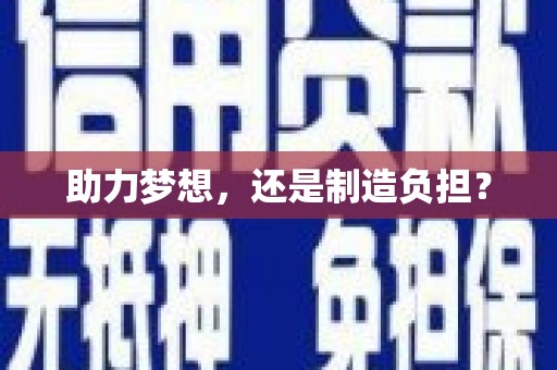 盐田助力梦想，还是制造负担？