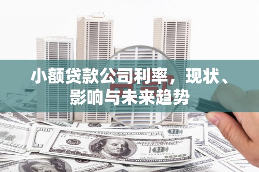 盐田小额贷款公司利率，现状、影响与未来趋势