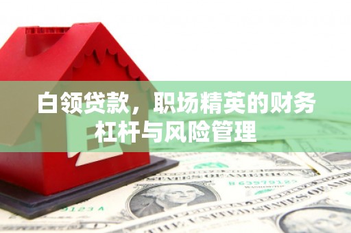 盐田白领贷款，职场精英的财务杠杆与风险管理