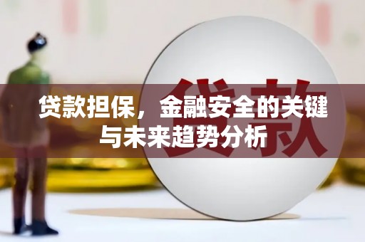 盐田贷款担保，金融安全的关键与未来趋势分析