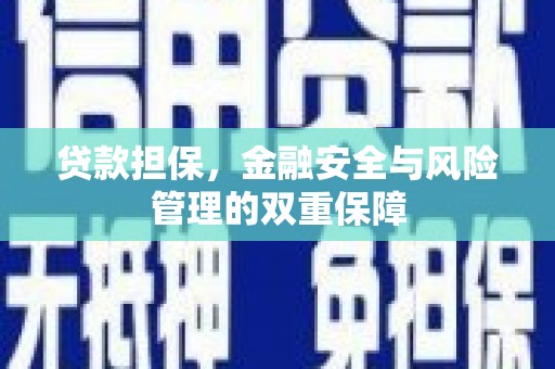 盐田贷款担保，金融安全与风险管理的双重保障