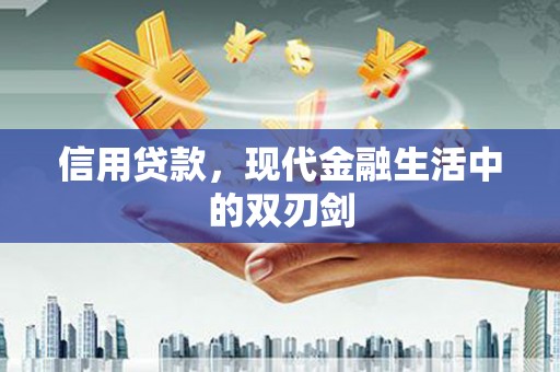 盐田信用贷款，现代金融生活中的双刃剑