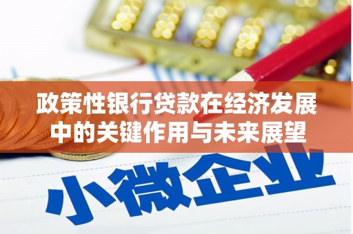 盐田政策性银行贷款在经济发展中的关键作用与未来展望