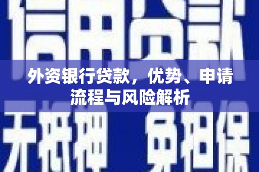 盐田外资银行贷款，优势、申请流程与风险解析