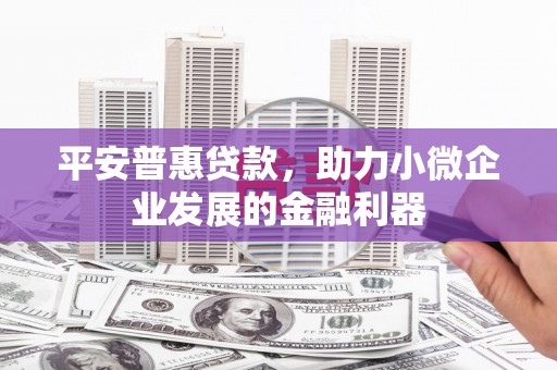 盐田平安普惠贷款，助力小微企业发展的金融利器