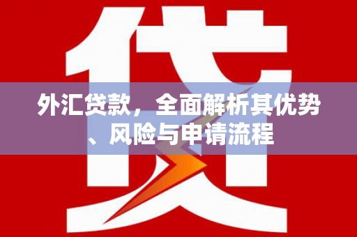 盐田外汇贷款，全面解析其优势、风险与申请流程
