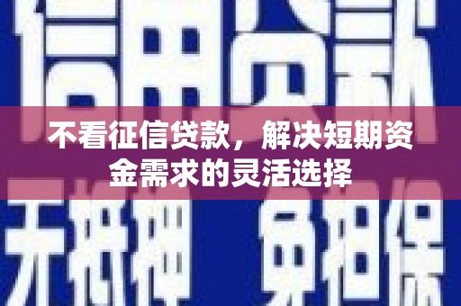 盐田不看征信贷款，解决短期资金需求的灵活选择