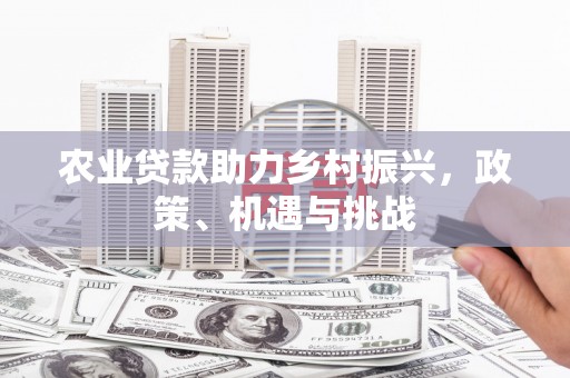 盐田农业贷款助力乡村振兴，政策、机遇与挑战