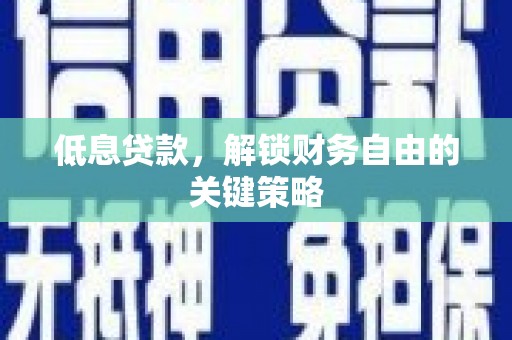 盐田低息贷款，解锁财务自由的关键策略