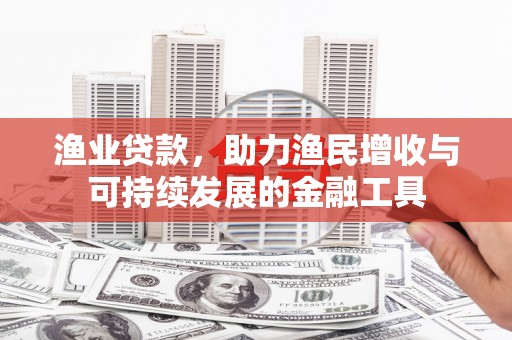 盐田渔业贷款，助力渔民增收与可持续发展的金融工具