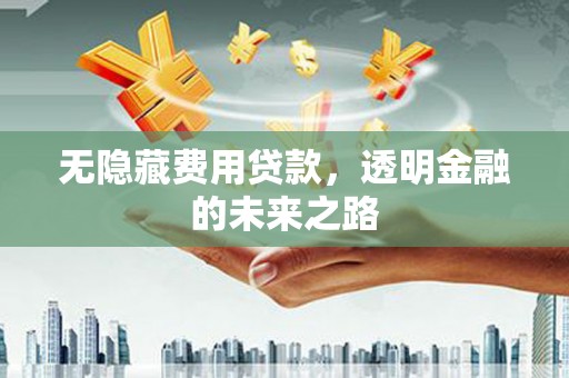 盐田无隐藏费用贷款，透明金融的未来之路