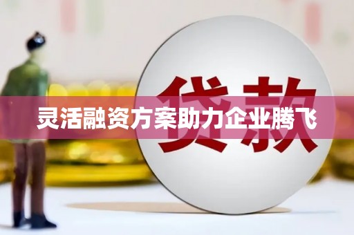 盐田灵活融资方案助力企业腾飞