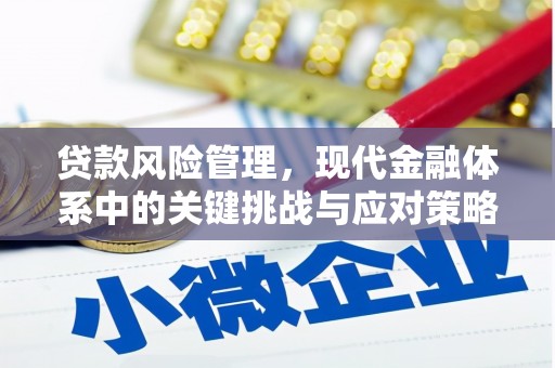 盐田贷款风险管理，现代金融体系中的关键挑战与应对策略