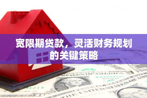 盐田宽限期贷款，灵活财务规划的关键策略