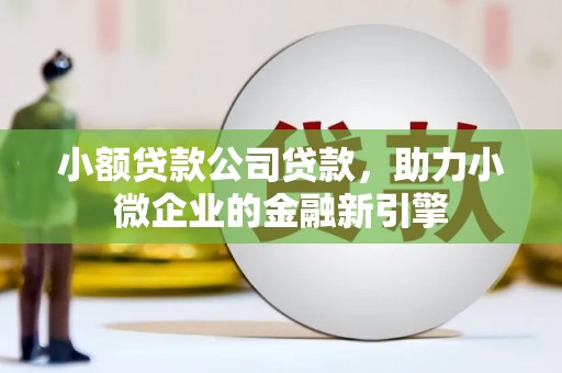 盐田小额贷款公司贷款，助力小微企业的金融新引擎