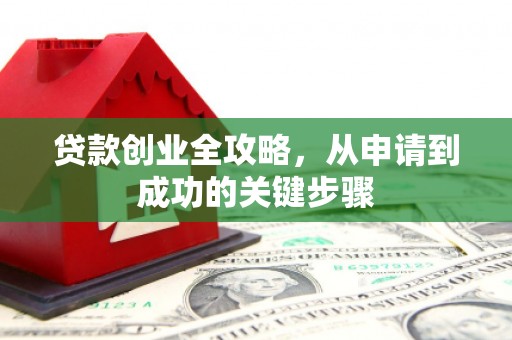 盐田贷款创业全攻略，从申请到成功的关键步骤