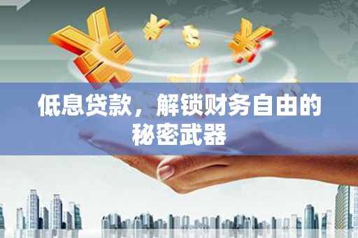 盐田低息贷款，解锁财务自由的秘密武器