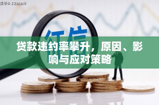 盐田贷款违约率攀升，原因、影响与应对策略